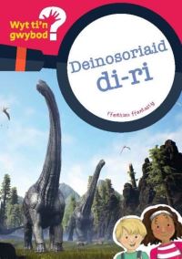 Book Cover for Deinosoriaid Di-Ri by Bethan Clement