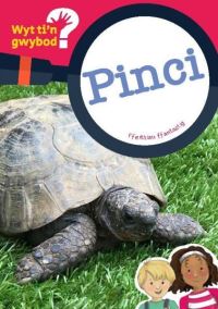 Book Cover for Pinci by Bethan Clement