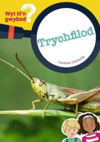 Book Cover for Trychfilod by Bethan Clement
