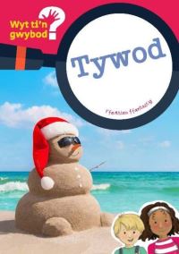 Book Cover for Tywod by Non ap Emlyn