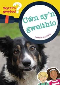 Book Cover for CÒwn Sy'n Gweithio by Bethan Clement