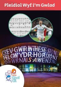 Book Cover for Pleidiol Wyf I'm Gwlad by Mererid Hopwood, Tudur Dylan Jones