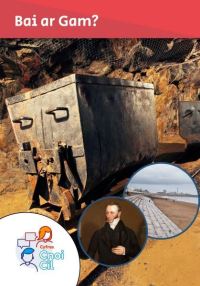 Book Cover for Bai Ar Gam? by Mererid Hopwood, Tudur Dylan Jones
