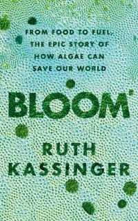 Book Cover for Bloom by Ruth Kassinger