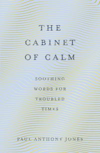 Book Cover for The Cabinet of Calm by Paul Anthony Jones