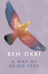 Book Cover for A Way of Being Free by Ben Okri