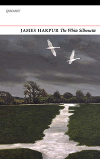 Book Cover for The White Silhouette by James Harpur
