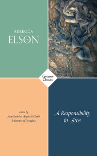 Book Cover for A Responsibility to Awe by Rebecca Elson