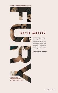 Book Cover for Fury by David Morley