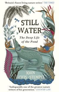 Book Cover for Still Water by John LewisStempel