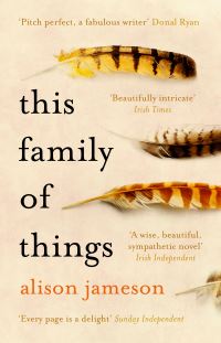 Book Cover for This Family of Things by Alison Jameson