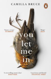 Book Cover for You Let Me In by Camilla Bruce