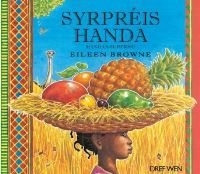 Book Cover for Syrpris Handa by Eileen Browne