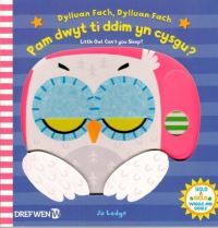 Book Cover for Dylluan Fach, Dylluan Fach : Pam Dwyt Ti Ddim Yn Cysgu? by Jo Lodge, Jo Lodge