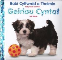 Book Cover for Babi Cyffwrdd a Theimlo by Elin Meek