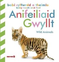 Book Cover for Anifeiliad Gwyllt by Elin Meek