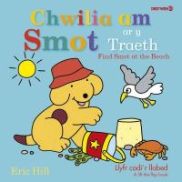 Book Cover for Chwilia Am Smot Ar Y Traeth by Elin Meek