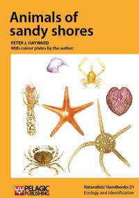 Book Cover for Animals of Sandy Shores by P J Hayward
