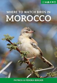 Book Cover for Where to Watch Birds in Morocco by Patrick Bergier, Fédora Bergier
