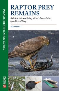 Book Cover for Urban Peregrines by Ed Drewitt