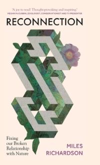 Book Cover for Reconnection by Miles Richardson
