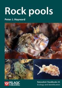 Book Cover for Rock Pools by P J Hayward