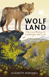 Book Cover for Wolf Land by Elizabeth Marshall