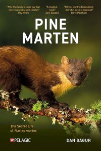 Book Cover for Pine Marten by Daniel Bagur