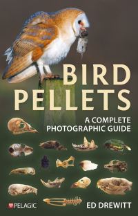 Book Cover for Bird Pellets by Ed Drewitt
