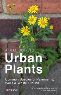 Book Cover for A Field Guide to Urban Plants by AlexandraMaria Klein, Julia Krohmer