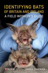 Book Cover for Identifying Bats of Britain and Ireland by James Shipman