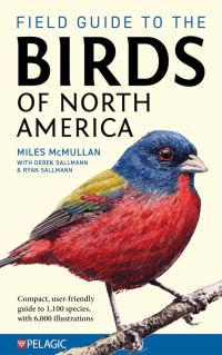 Book Cover for Field Guide to the Birds of North America by Miles McMullan, Derek Sallmann, Ryan Sallmann