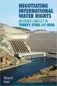 Book Cover for Negotiating International Water Rights by MüÒserref Yetim