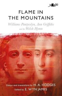 Book Cover for Flame in the Mountains by H A Hodges