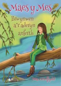 Book Cover for Brwynwen A'r Aderyn Anferth by Nia Gruffydd