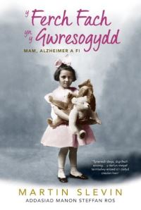 Book Cover for Y Ferch Fach Yn Y Gwresogydd by Martin Slevin