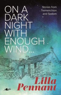 Book Cover for On a Dark Night With Enough Wind by Lilla Pennant