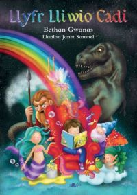 Book Cover for Llyfr Lliwio Cadi by Bethan Gwanas