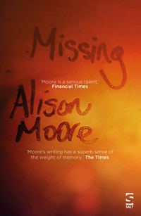 Book Cover for Missing by Alison Moore