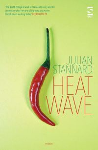 Book Cover for Heat Wave by Julian Stannard
