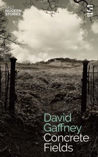 Book Cover for Concrete Fields by David Gaffney