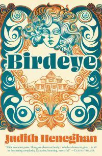 Book Cover for Birdeye by Judith Heneghan