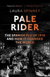 Book Cover for Pale Rider by Laura Spinney
