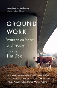 Book Cover for Ground Work by Tim Dee