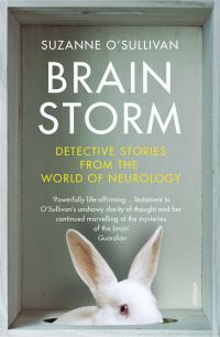 Book Cover for Brainstorm by Suzanne OSullivan
