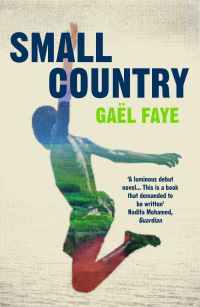 Book Cover for Small Country by Gaël Faye