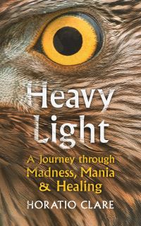 Book Cover for Heavy Light by Horatio Clare