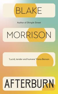 Book Cover for Afterburn by Blake Morrison