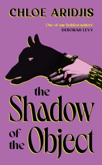 Book Cover for The Shadow of the Object by Chloe Aridjis