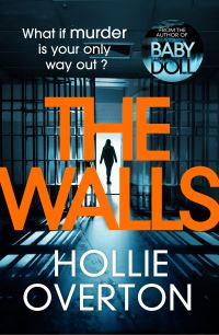 Book Cover for The Walls by Hollie Overton